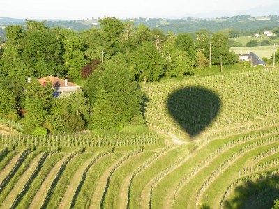 L'ombre de la montgolfière sur les vignes de Jurançon